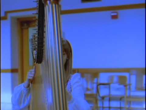 Joanna Newsom "Sprout and The Bean"