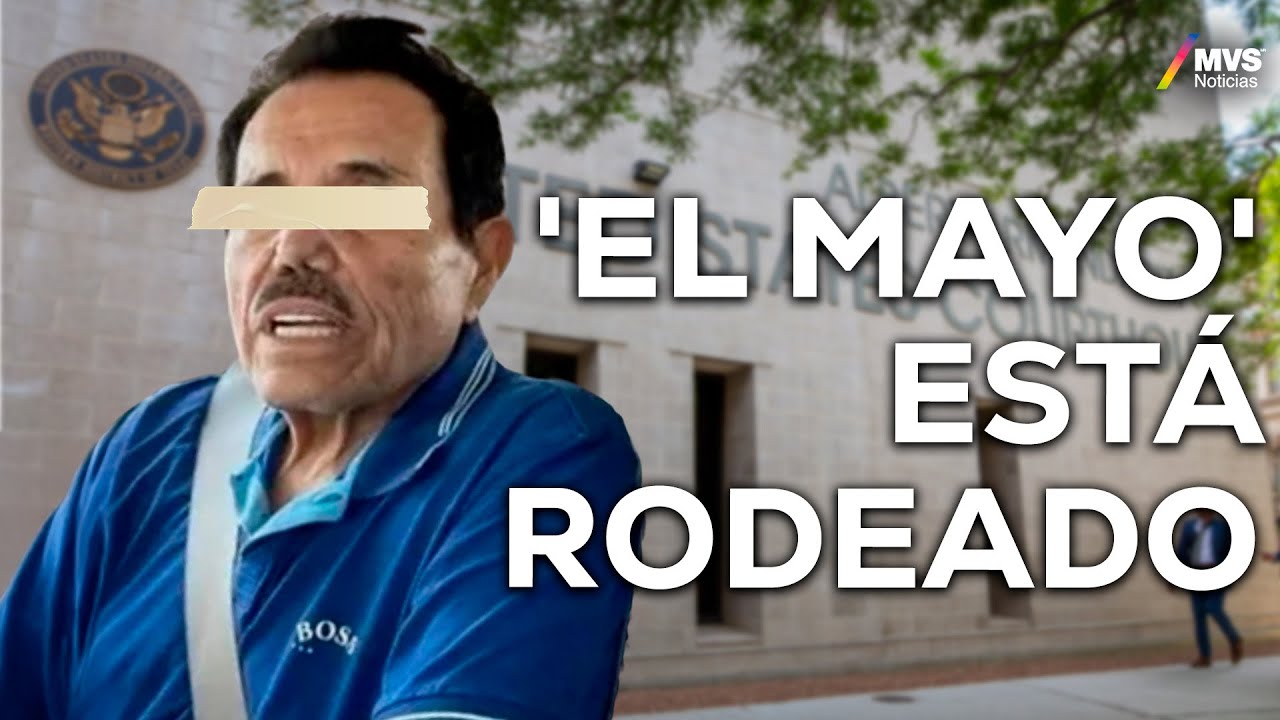 OVIDIO GUZMÁN ya cantó, ¿'EL MAYO' ZAMBADA es el siguiente?  | MVS Noticias