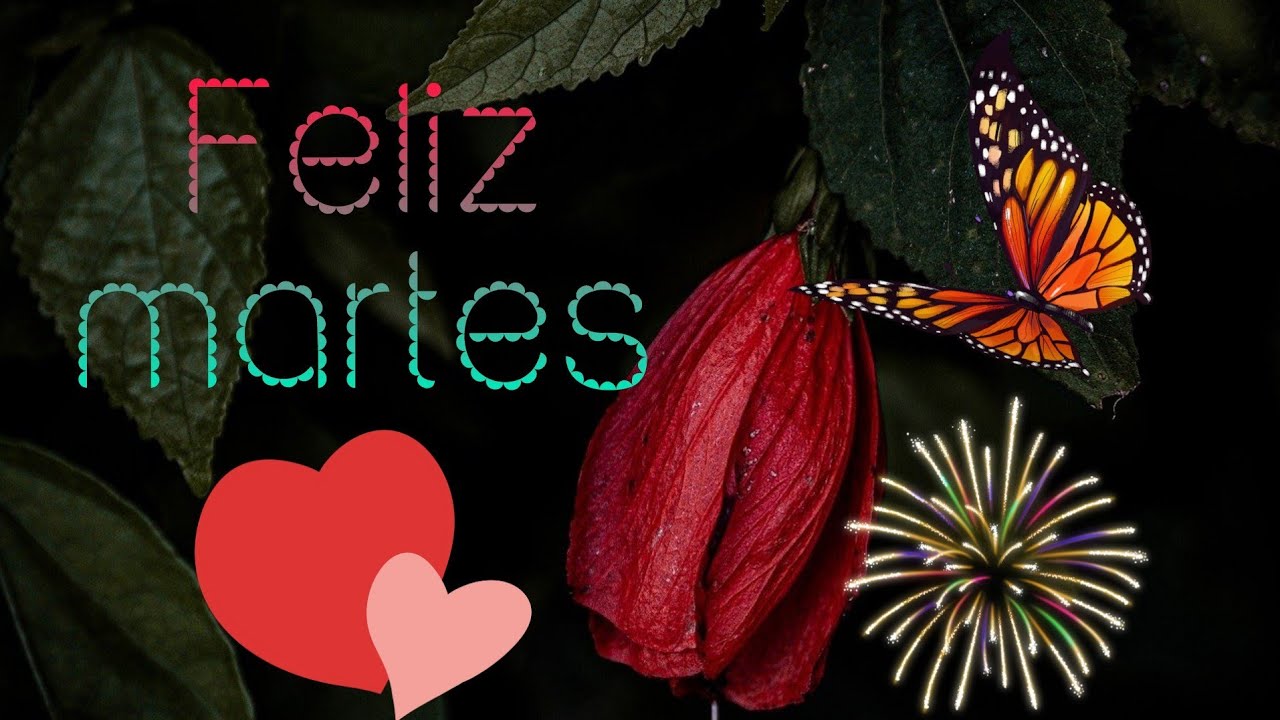 🌸🌱FELIZ MARTES 🌹 😊