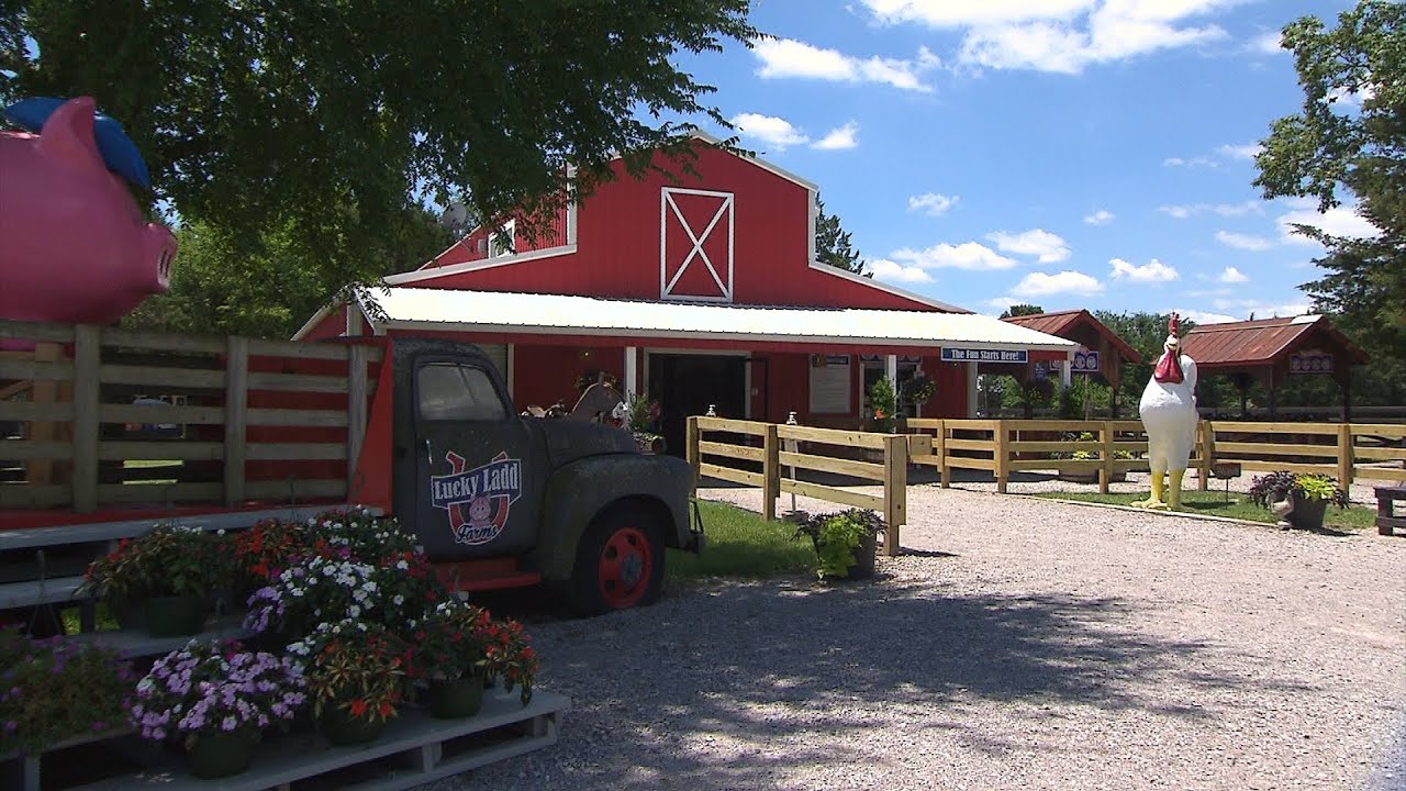 Lucky Ladd Farms | Tennessee Crossroads | 3406.1
