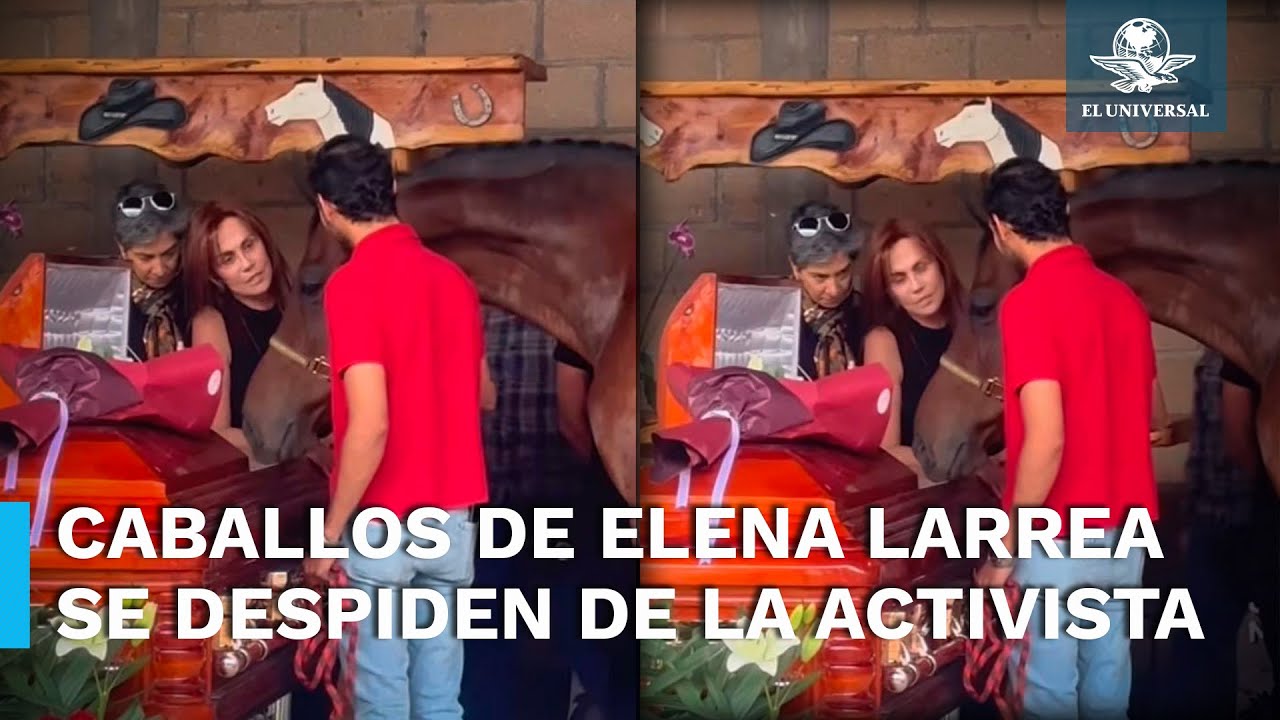 El emotivo adiós de sus caballos a Elena Larrea en Cuacolandia