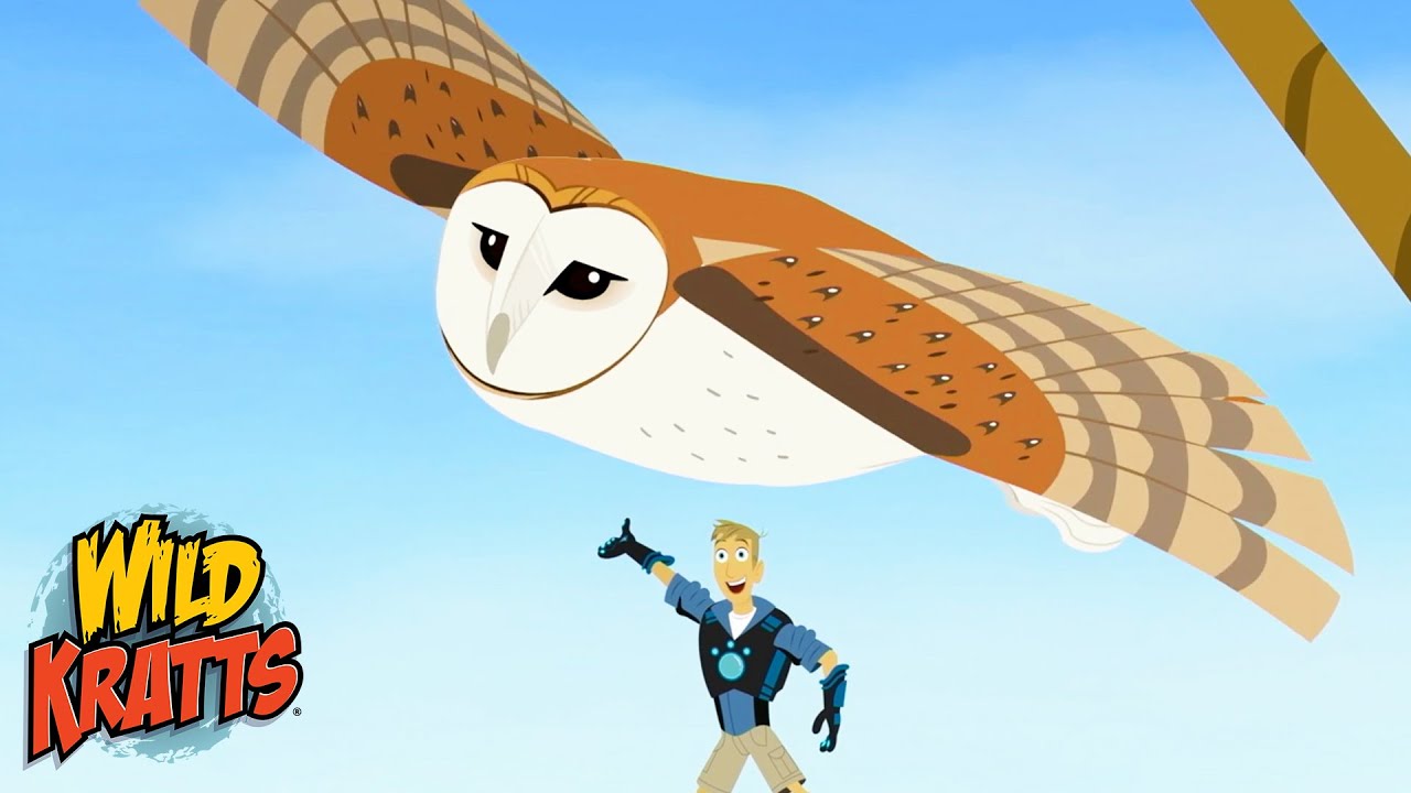 Barn Owls | Silent Hunters of the Sky | Animals for Kids | Season 7 | Wild Kratts