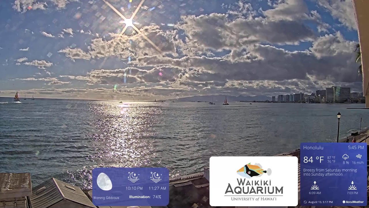 Waikiki Aquarium South Shore Surf Cam